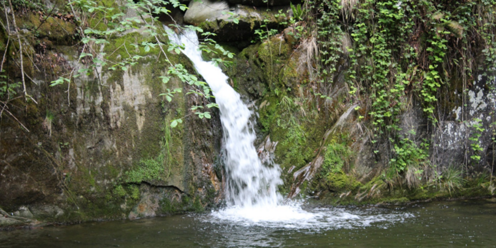 Der Wasserfall im Aabachtobel spült Sauerstoff  in den kleinen See, lebenswichtig für Bachforellen.