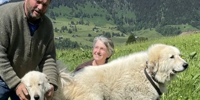 Jean-Pierre und Carmen Vittoni mit zwei ihrer Pyrenäenberghunde.