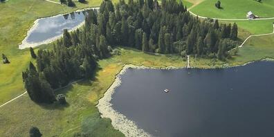 Ein 73-jähriger Mann ist im Schwendisee bei Wildhaus ertrunken.