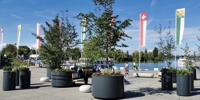 Eine Kreuzlinger Stadtinsel am Hafenplatz.