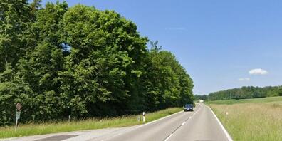 In diesem Bereich der Bözbergstrasse soll der Wald zurückgeschnitten und eine Wildwarnanlage eingerichtet werden.