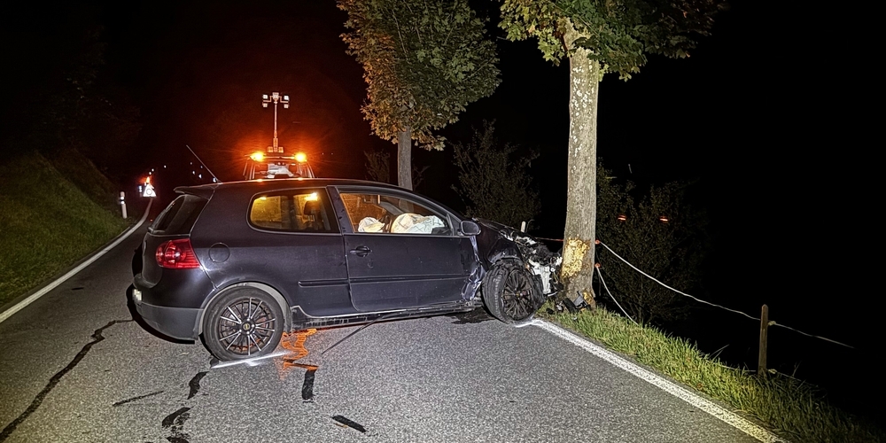 Nach einem Ausflug durch Wiesland und mehreren Kollisionen prallte das Auto am Ende in einen Baum. Der Sachschaden ist fünfstellig.