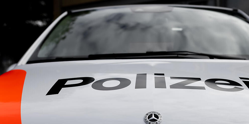 Patrouillen der Kantonspolizeien von St. Gallen und Thurgau stoppten gemeinsam zwei mutmassliche Autodiebe. (Archivbild)