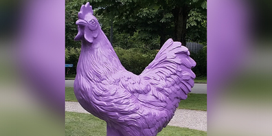 Bad Ragartz: Was ist die Geschichte hinter diesem violetten Huhn?