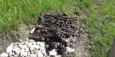 Die Altholzinseln wurden nach dem Diebstahl wieder aufgebaut. Es gilt: "Rücksicht nehmen und nicht berühren!"