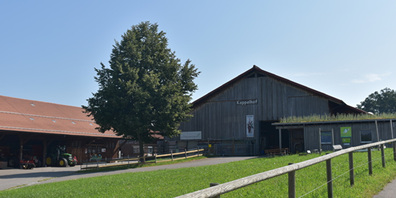 Der vierte «Buure Erlebnismarkt» findet auf dem Kappelhof statt.