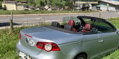 Der Unfallfahrer kam mit dem Schrecken davon.