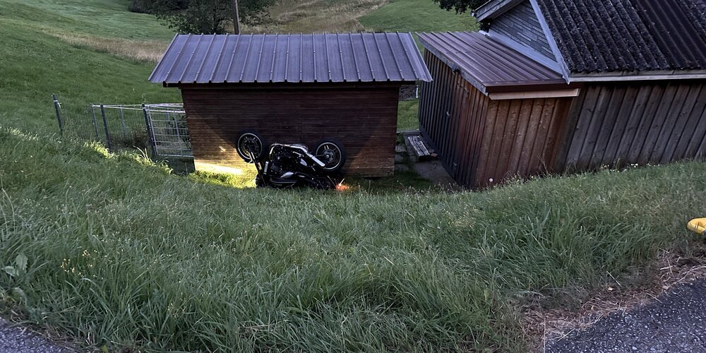 Der Motorradfahrer und der Hund stürzten das Wiesenbord herunter. Das Tier überlebte den Unfall nicht.
