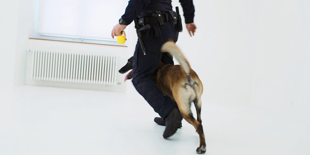Roman Selim Khereddine, Beiss die Hand, 2024 (Videostill).