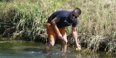 Die Enten, die sich am Ufer verheddert hatten, wurden händisch befreit