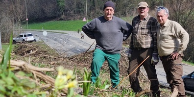 Die Jäger Karl (Charly) Thöni, Christian Büsser, Francisco Tarifa (v.l.n.r.) räumten entbuschte Wiesenteile im Hangried Giessen auf.
