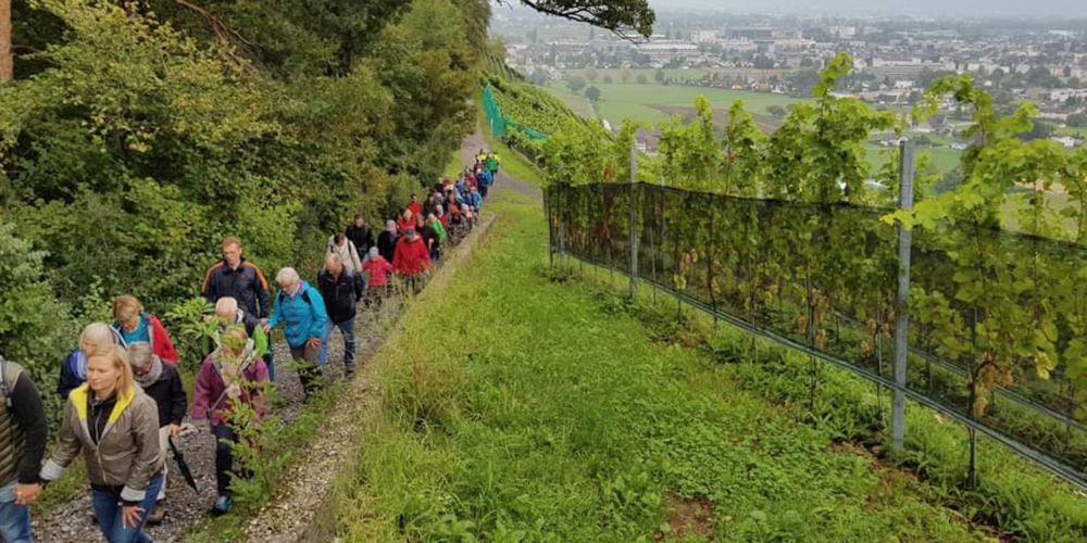Eine gemeinsame Wanderung bietet die Möglichkeit für gute Gespräche