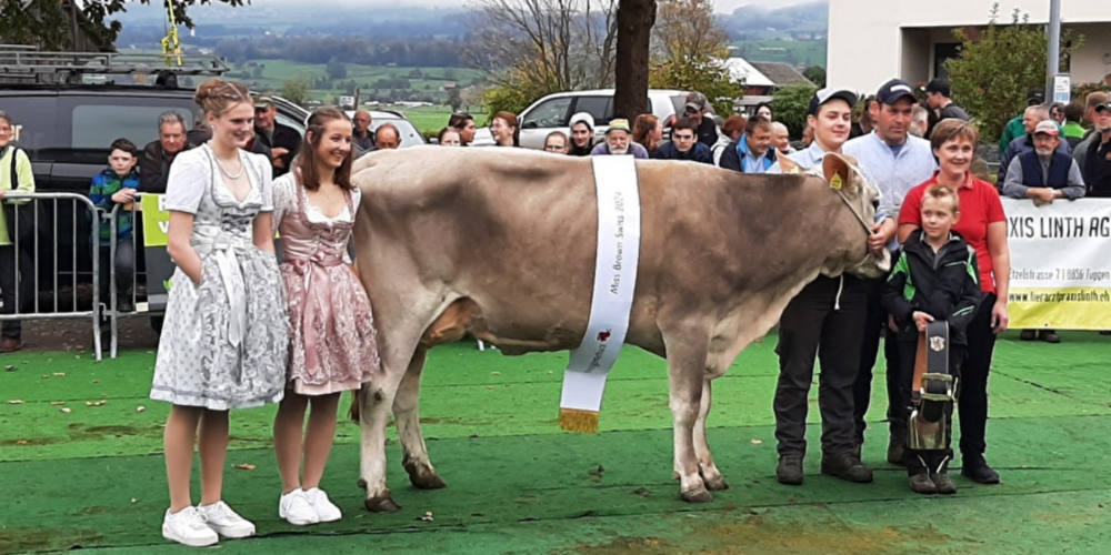 Die Siegerin «Miss Brown Swiss 2024».