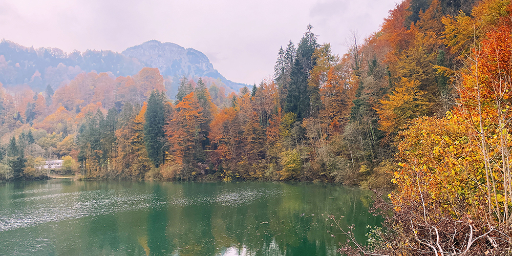 Nochmals ausgiebig durch farbige Wälder streifen (wie hier im Rempen, Vorderthal): Schon bald verblassen die Farben zunehmend.