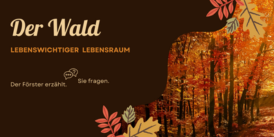 Förster Hansruedi Gubler informiert uns bei einem Rundgang über den Forstbetrieb.