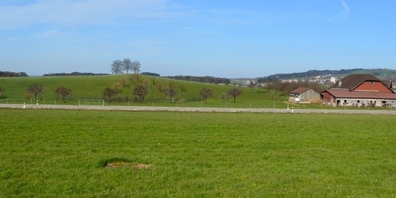 Im Bereich Radmoos soll seit längerem eine neue Deponie entstehen.