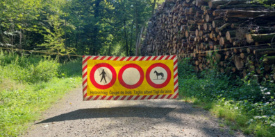 Neben dem normalen Holzschlag wird auch eine markante Esche hinter der Schlossscheune entfernt, da diese mit einer schweren Baumkrankheit infiziert ist.