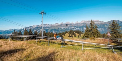 Durch die herbstliche Flumserberg-Landschaft rodeln.