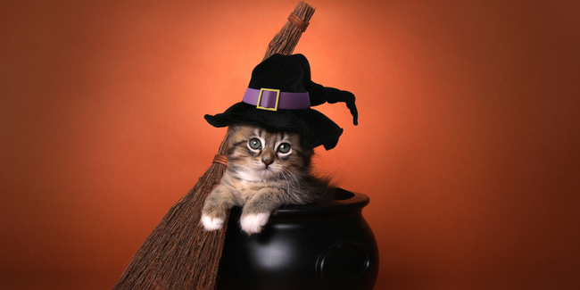 Familienfreundlich und kurzweilig? Oder doch eher intensiv und aufregend?