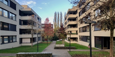 Die Siedlung «Am Katzenbach I» im Abendlicht. Im Hintergrund ein Gebäude der vierten Etappe.