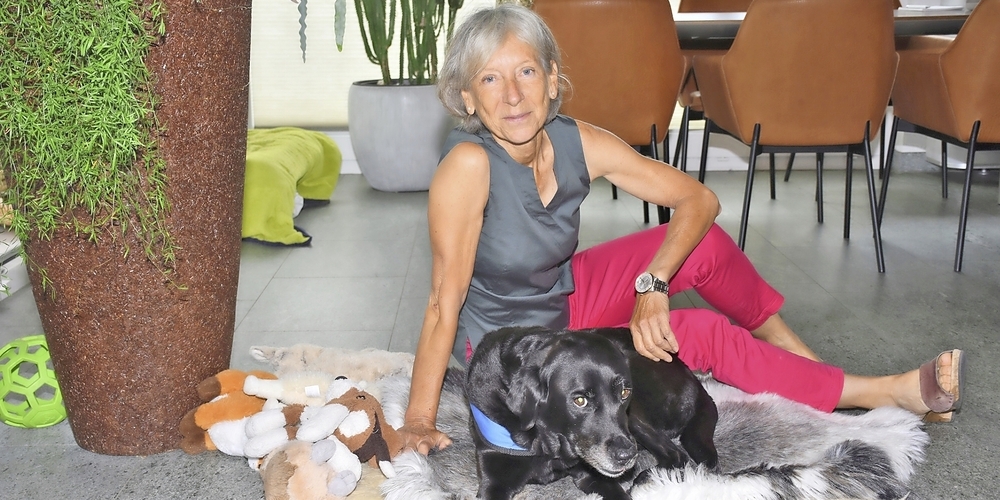 Die Sozialhündin Oriana fühlt sich daheim bei Christina Bucher in Kloten sichtlich wohl.