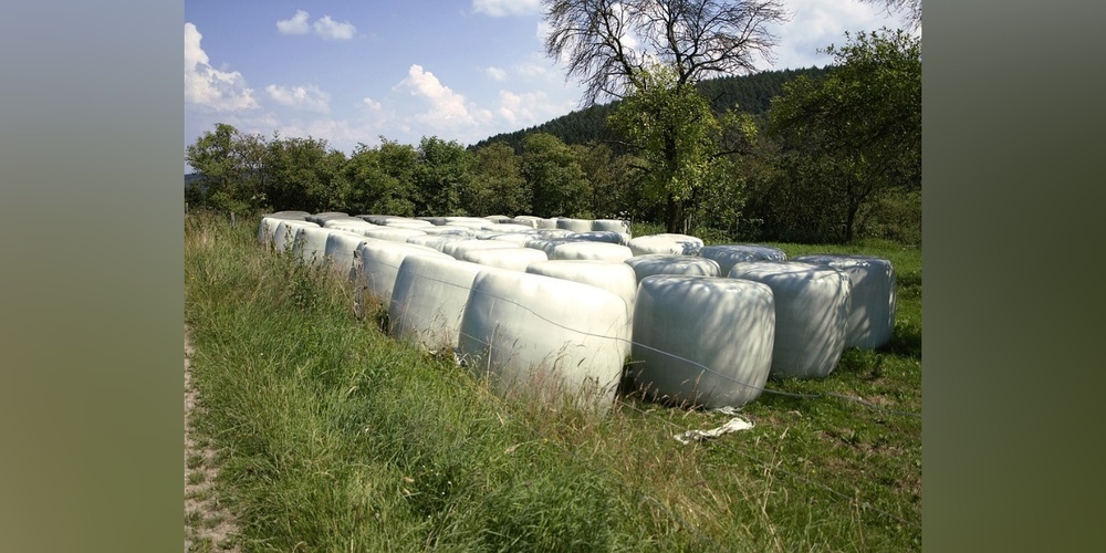 Gute Lösung – Erde Schweiz (Symbolbild)