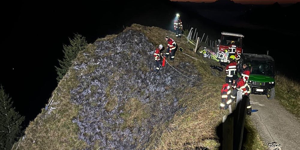 Das brennende Wiesland konnte gelöscht werden. 