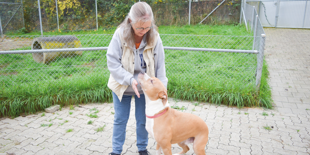 Wegen der angespannten Lage bleibt auch fürs Hundetraining wenig Zeit. Monika Hübscher hier mit dem liebenswerten Riesen Blue.