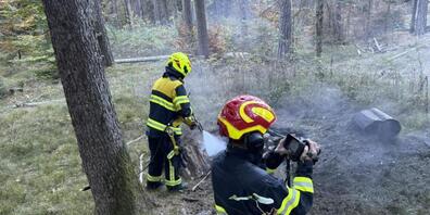 Feuerwehrleute mussten im Churer Fürstenwald ein unterirdisches Feuer löschen.