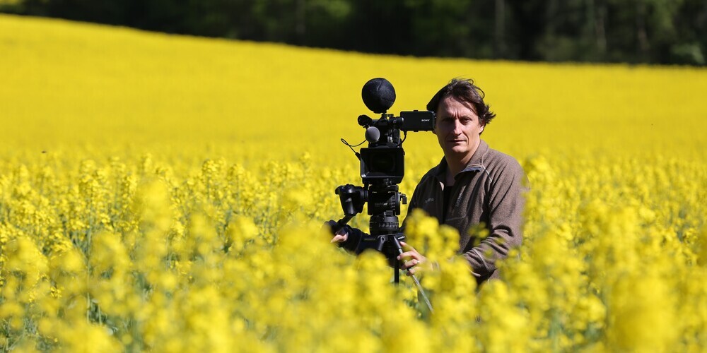 Martin Schilt hat in seinem Film «Bahnhof der Schmetterlinge» das Dilemma behandelt.