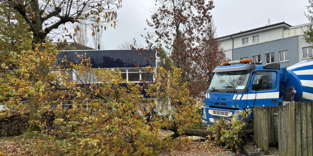 Ein Lastwagen kam am Donnerstag in Hochdorf von der Strasse ab.