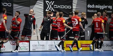 Es warten noch zwei Begegnungen bis zu den Playoffs.