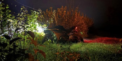 Der junge Lenker kam aus bislang ungeklärten Gründen von der Strasse ab.