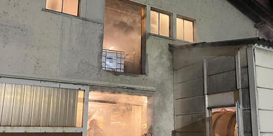 Die Feuerwehr Frauenfeld konnte den Mottbrand löschen.