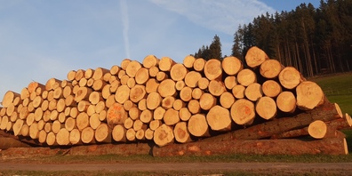 Seit Jahren hat die Holzindustrie stabile Preise. (Symbolbild)