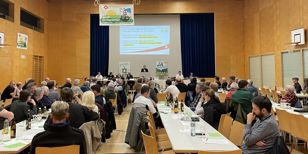 Auch die drei kantonalen Vorlagen werden von der SVP unterstützt. (Symbolbild)