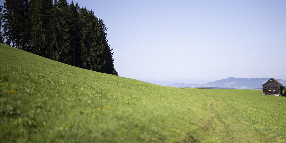 Die Eggersrieter-Höhe gehört zu den Gebieten mit PFAS-belasteten Böden. (Archivbild)