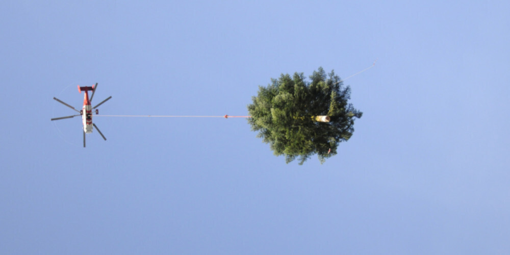Am 16. November 2024 könnte der Christbaum auf dem Klosterplatz eingeflogen werden. (Archivbild)