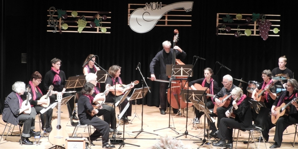 Das Mandolinen- und Gitarrenorchester Uznach begeisterte.