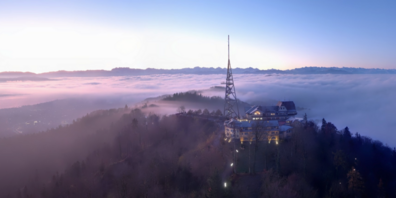 Auf dem Uetliberg müssen alte Bäume weichen - Umweltschutzverbände wehren sich.