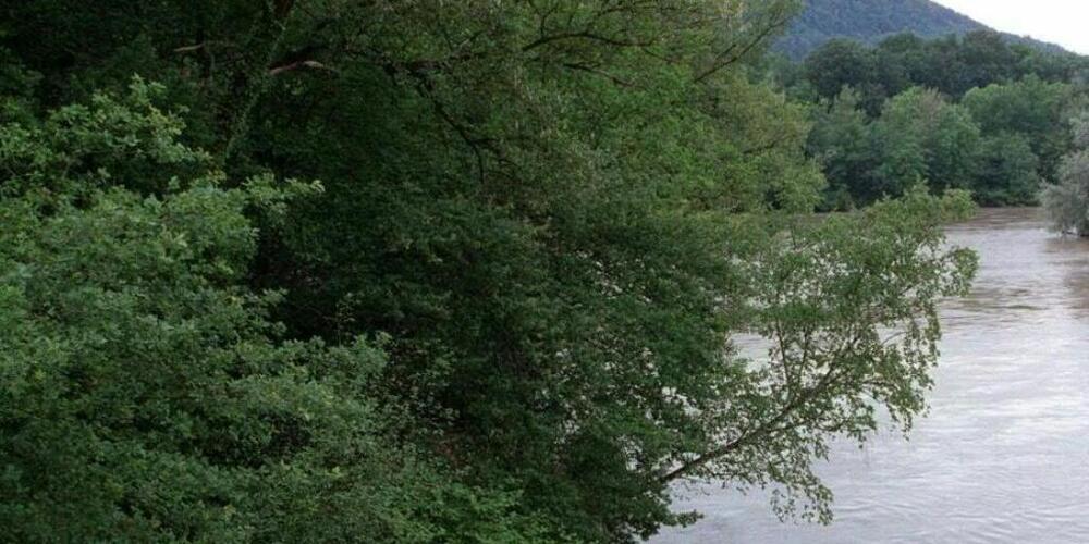 Im Wasserkanton Aargau sollen mehr Feuchtgebiete zur Sicherung und Stärkung der Biodiversität geschaffen werden.  (Archivbild)