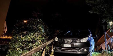 Das Auto auf der Treppe konnte nicht mehr rückwärts bewegt werden.