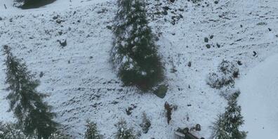 Das Auto rutschte den steilen Hang hinter und landete auf dem Dach stehend neben einer Baumaschine.