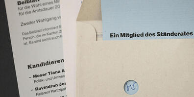 Der Stadtrat von Zürich soll den Zugang zur Politik – etwa zum Wählen und Abstimmen – für Menschen mit Behinderungen erleichtern, fordert der Gemeinderat. (Symbolbild)