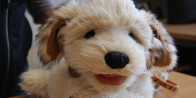 Auch wenn der Plüschhund Wuffi niedlich aussieht, lernen die Kinder, dass er manchmal besser in Ruhe gelassen werden sollte, um sich selbst vor Bissen oder anderen Reaktionen zu schützen.