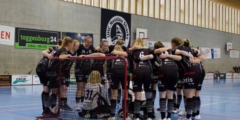 ie Toggenburgerinnen mussten sich nach einer umkämpften Partie mit 1:2 gegen die Red Lions aus Frauenfeld geschlagen geben. In Nesslau waren bereits nach 28. Minuten sämtliche Tore der Partie gefallen. 