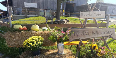 Der «Buurä Erlebnismarkt» fand bei wunderbarem Herbstwetter statt.