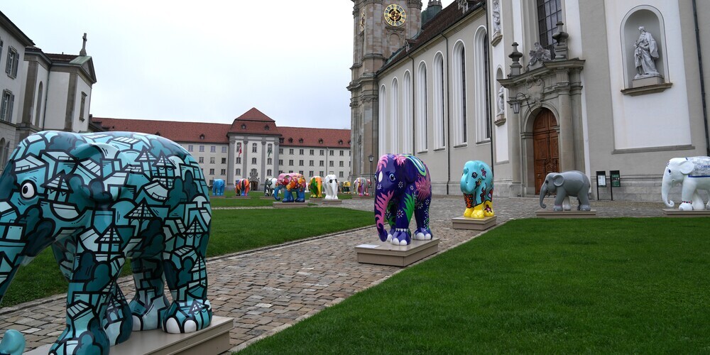 Eta 40 Elefanten zieren in den kommenden Tagen den St.Galler Klosterplatz.