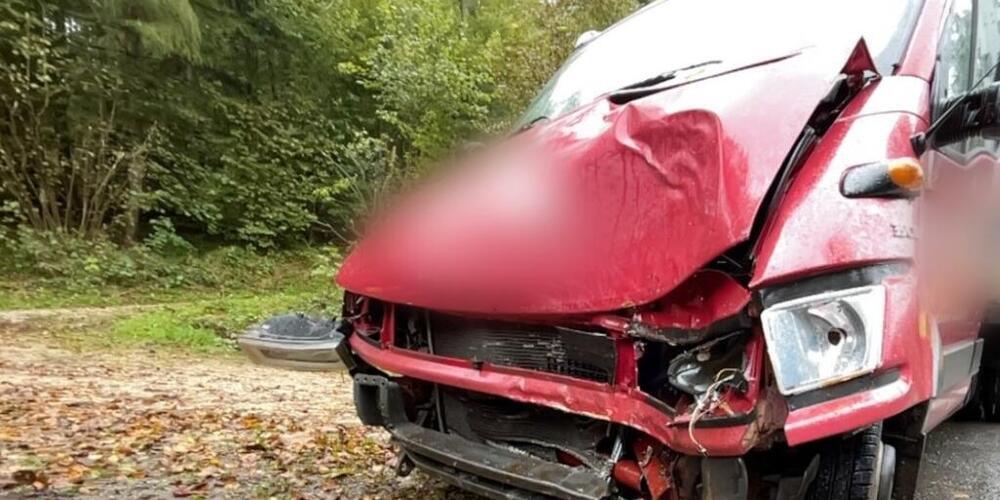 Nach der Kollision mit einem Baum musste der Lieferwagen mit Totalschaden abgeschleppt werden.