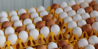 Eier sind beliebt.